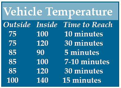 article_dogs_in_hot_car_temps